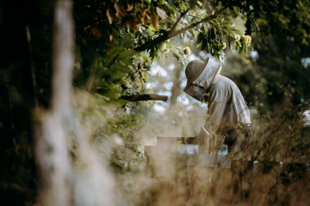 Photographie apiculteur miels bio Limousin