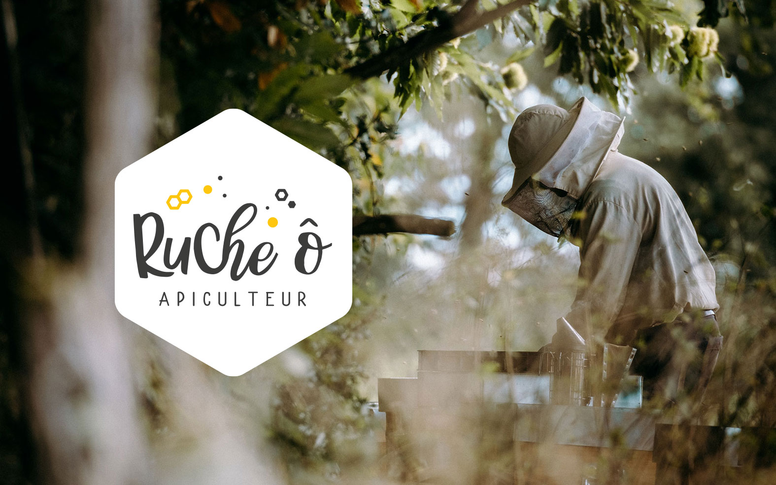 Identité visuelle et photographie apiculteur bio Limousin
